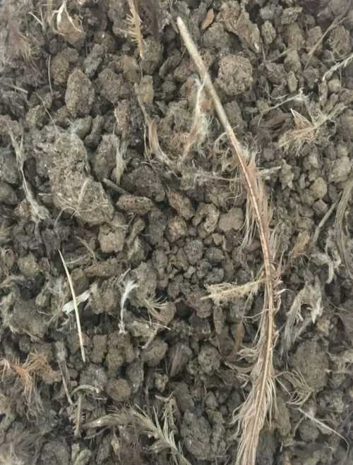 浙江干鸡粪 石家庄生物肥的价格是多少 河北广农肥业有限公司