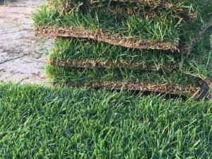 草坪自动喷灌价格_绿化其他农业用具系统
