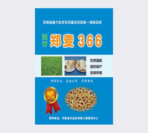 小麦品种郑麦366生产厂家_河南花卉种子、种苗批发