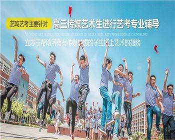 西安艺考集训/学习艺考培训学校/西安艺鸣教育软件科技有限责任公司