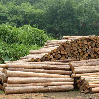 天然山樟木生产厂家/马来西亚唐木报价/东莞市大岭山森阳木材店
