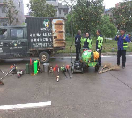 金霞保税区绿植租摆/梅溪湖写字楼盆景盆栽租赁/长沙市望城区宇林花卉园林基地(普通合伙)