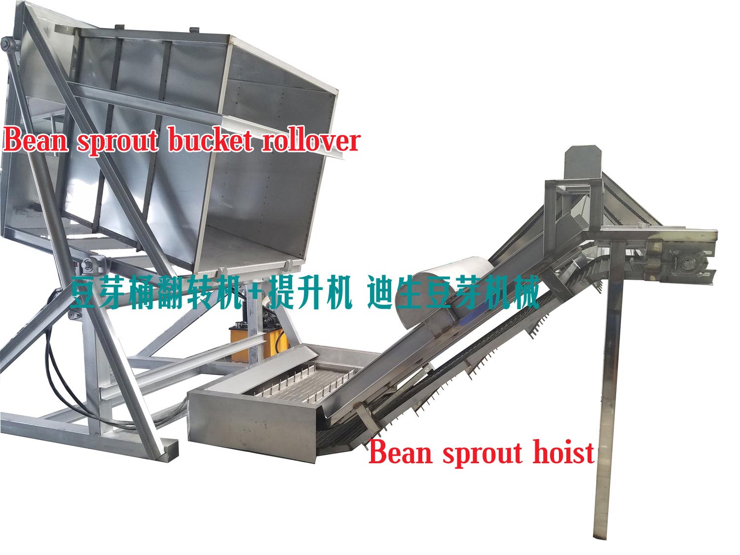 全自动化豆芽机_豆腐机型号_青州市迪生自动化设备有限公司
