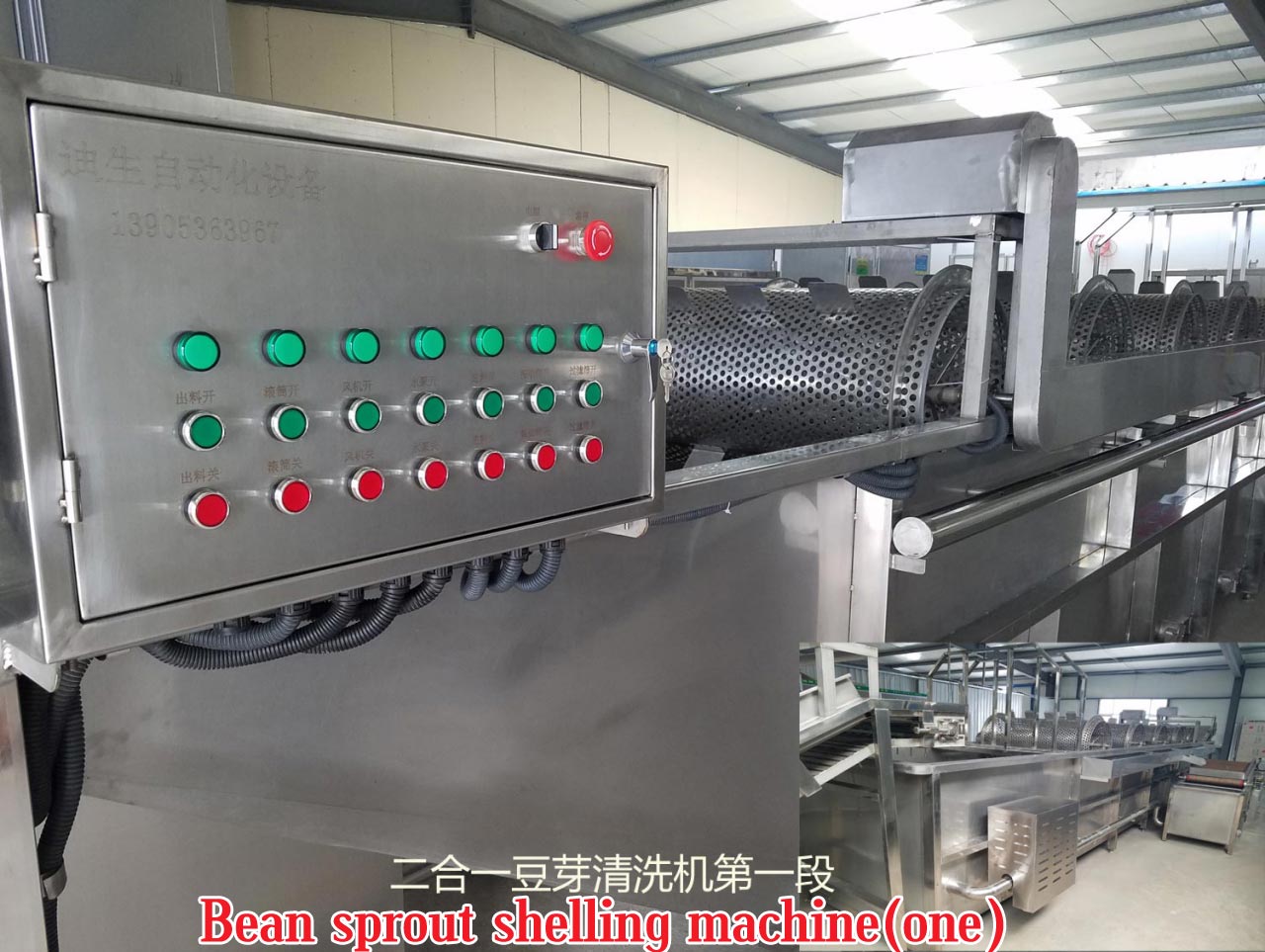 不锈钢豆芽机 中型震动豆芽去壳机价格 青州市迪生自动化设备有限公司