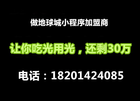 武汉微信小程序加盟_成都微信小程序代理条件_北京地球城管理咨询有限公司