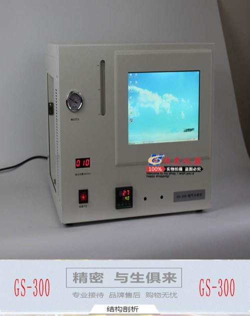 GS-300天然气热值分析仪_天然气分析仪