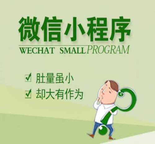 小程序开发公司 网络广告发布 广州丹心信息科技有限公司