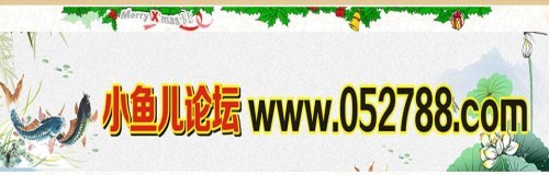 白姐论坛